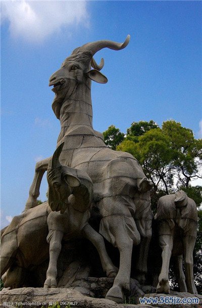 广州丝足会所